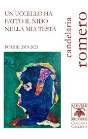 Un uccello ha fatto il nido nella mia testa