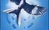 Il canto della rivolta. Hunger Games