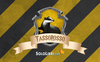 Tassorosso: storia, nome e curiosità sulla Casa di Hogwarts