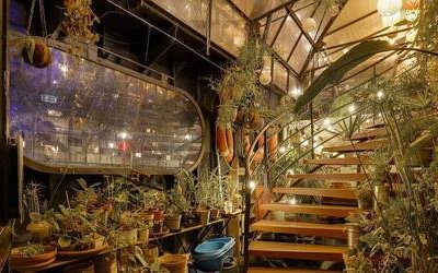 “L'eau et les rêves”: a Parigi una magica libreria galleggiante