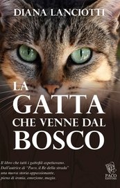 La gatta che venne dal bosco