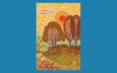 Elmet