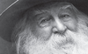 “Il mio lascito” di Walt Whitman: una poesia sul valore della libertà
