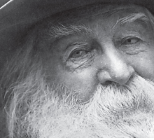 “Il mio lascito” di Walt Whitman: una poesia sul valore della libertà