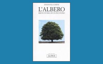 L'albero. Breve storia di un incontro