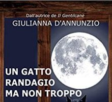Un gatto randagio ma non troppo