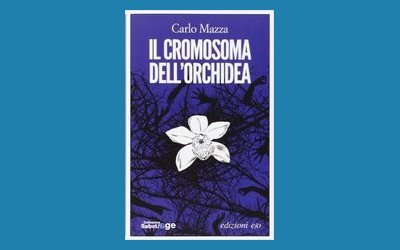 Il cromosoma dell'orchidea