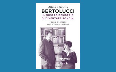 Il nostro desiderio di diventare rondini
