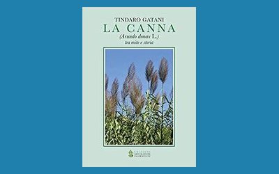 La canna (Arundo donax L.) tra mito e storia