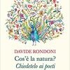 Cos'è la natura? Chiedetelo ai poeti