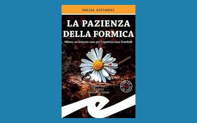 La pazienza della formica