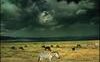 Verdi colline d'Africa