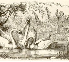 “Il brutto anatroccolo” di Andersen: la vera storia della fiaba e il suo significato psicologico