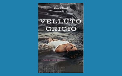 Velluto grigio