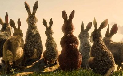 La collina dei conigli su Netflix: cast e quando esce