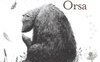 Piccola Orsa