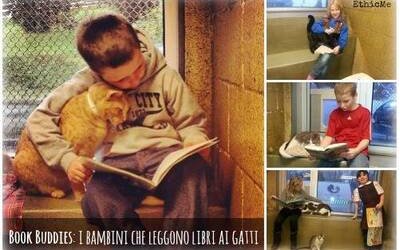 Bambini, gatti e libri: il progetto Book Buddies
