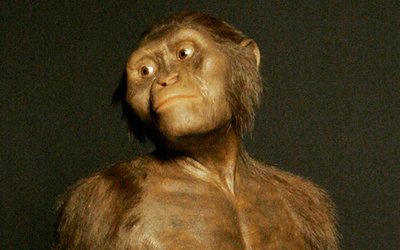 Lucy, l'australopiteco: chi è, com'è morta e dove si trova?