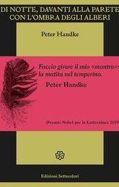 Di notte, davanti alla parete con l'ombra degli alberi