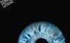 Come il cervello crea la nostra coscienza