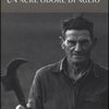 Un acre odore di aglio