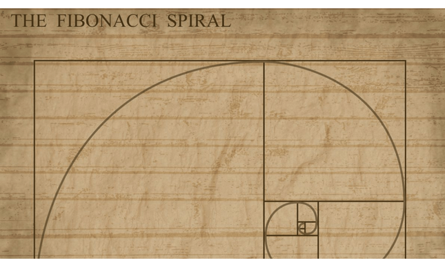 Fibonacci Day: cos'è e perché si celebra il 23 novembre