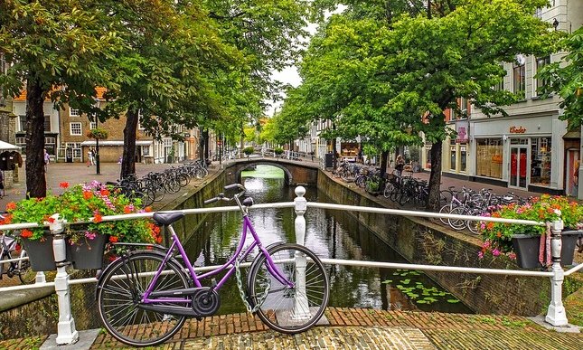 Olanda, no allo smartphone sulla bici: i giovani tornano a leggere libri al semaforo