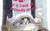 Elise e il cane di seconda mano