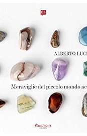 Meraviglie del piccolo mondo accanto