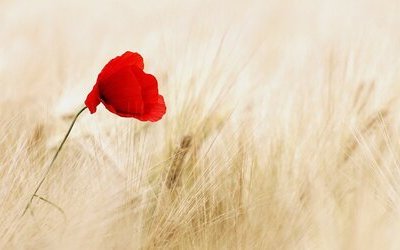 “La madre del partigiano”: la poesia di Gianni Rodari dedicata al 25 aprile 