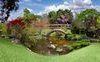 Huntington Library: la grande biblioteca americana che è anche museo d'arte e giardini botanici