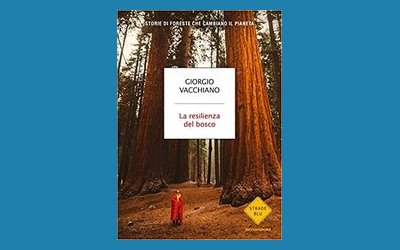 La resilienza del bosco