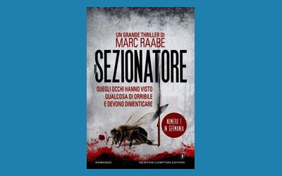 Il sezionatore