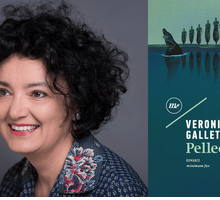 Intervista a Veronica Galletta, in libreria con “Pelleossa”