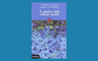 Il giardino delle ortensie azzurre