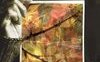 Il colore delle foglie d'autunno