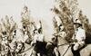 Oltremare. Storia dell'espansione coloniale italiana