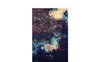 Cosmologie