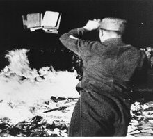 Nazismo e rogo dei libri: cosa accadde il 10 maggio 1933