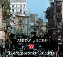 Il cromosoma Calcutta
