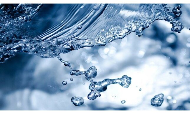 “L'acqua la insegna la sete”: testo e analisi della poesia di Emily Dickinson