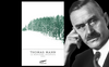 “La montagna incantata” di Thomas Mann a cento anni dalla prima edizione