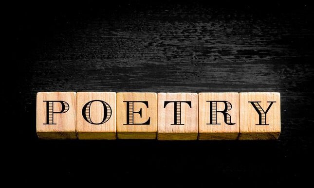 I possibili motivi della crisi della poesia italiana contemporanea 