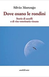 Dove osano le rondini