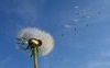 “You, wind of March” di Cesare Pavese: testo e analisi della poesia