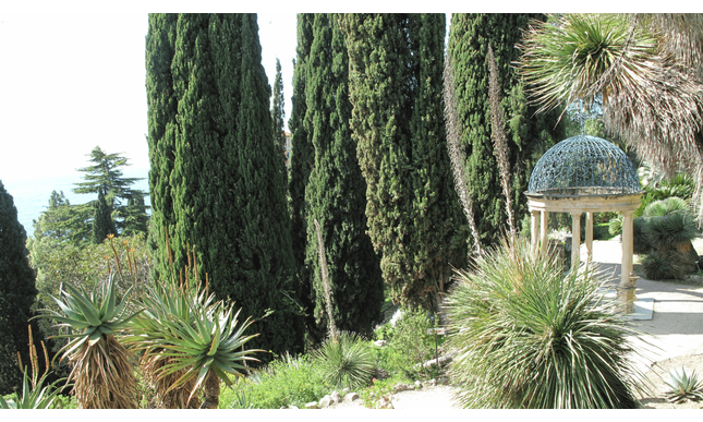 I giardini di Villa Hanbury, amati da Nico Orengo, compiono 155 anni
