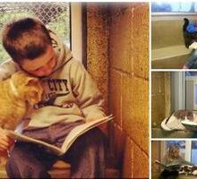 Bambini, gatti e libri: il progetto Book Buddies