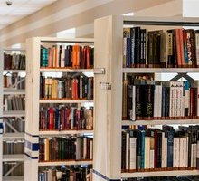 Bibliotecari in erba: percorso e consigli per lavorare in biblioteca