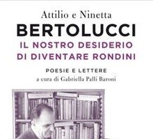 Il nostro desiderio di diventare rondini