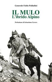 Il mulo. L'ibrido Alpino
